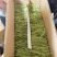 切断10公分，大量有货