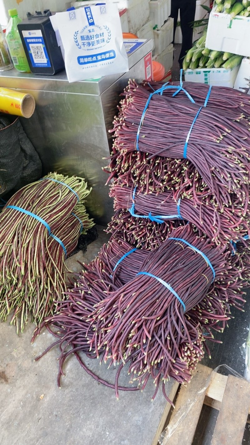 紫长豆，红缸豆，红豆角，紫豆角，长豆角，