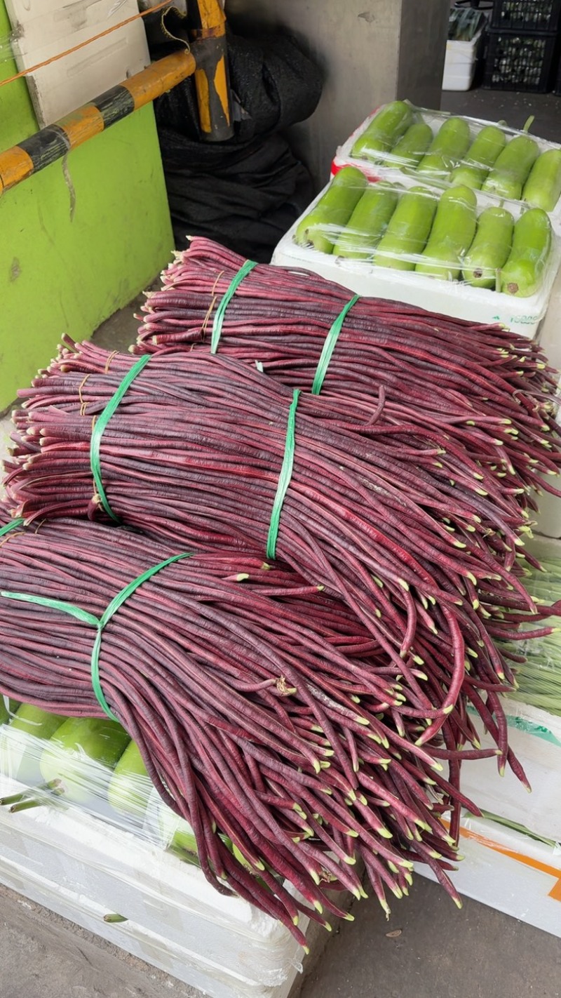 紫长豆，红缸豆，红豆角，紫豆角，长豆角，