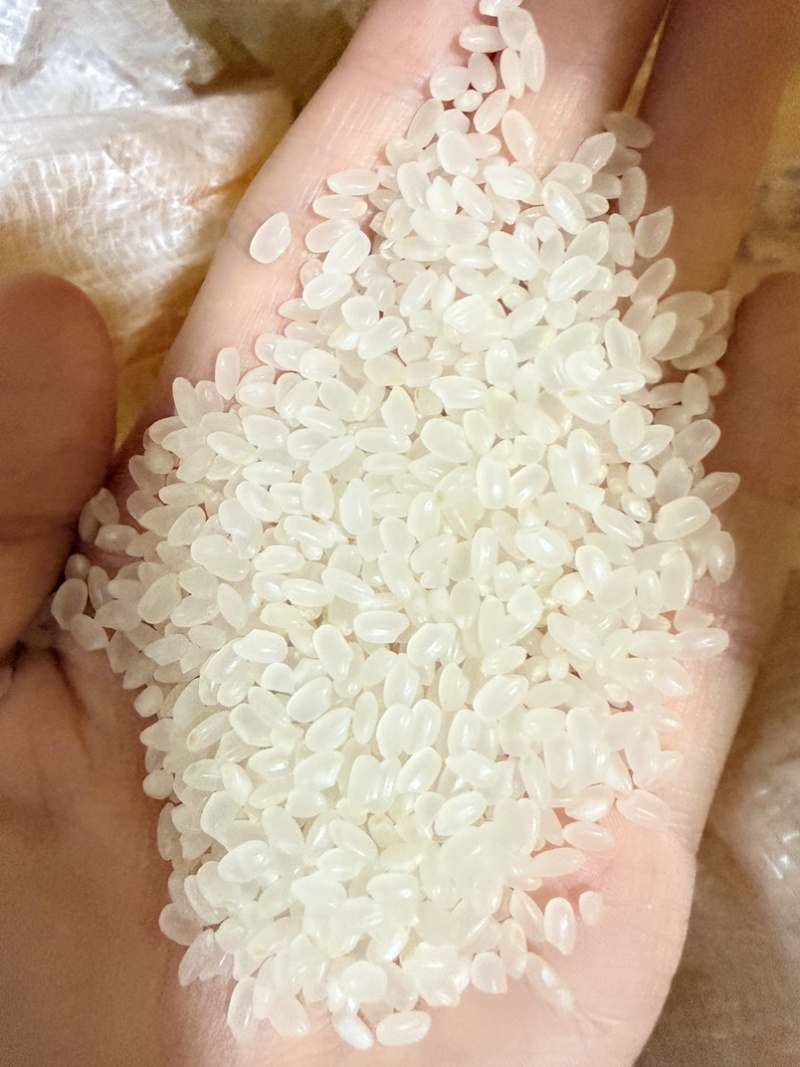 龙凤山核心产区种植五常大米，口感软糯筋香甜