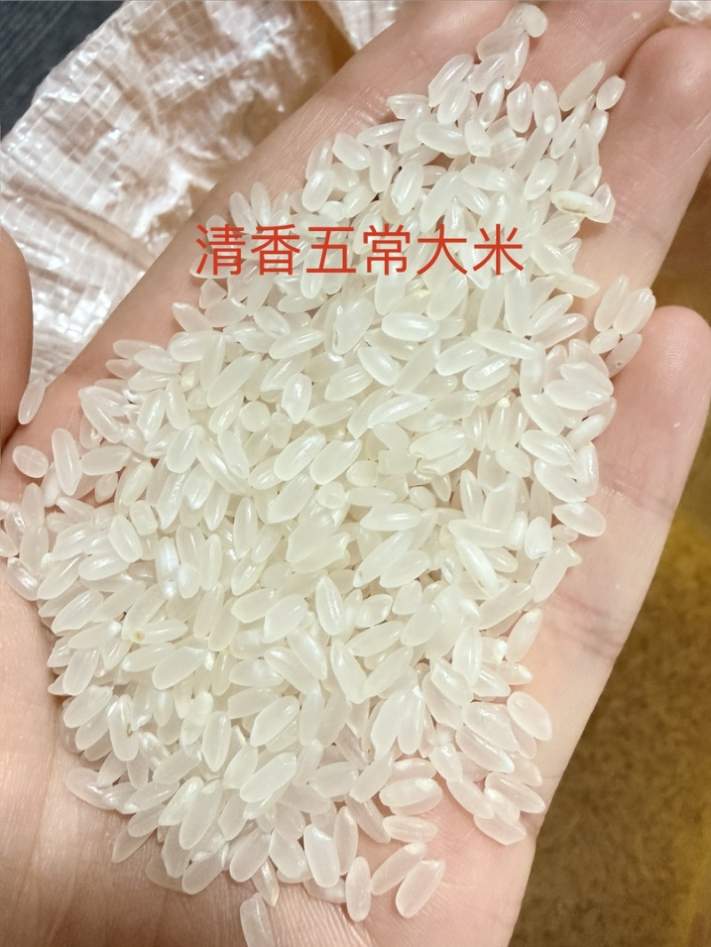 龙凤山核心产区种植五常大米，口感软糯筋香甜