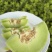 【玉菇甜瓜】山东玉菇甜瓜/莘县玉菇甜瓜/质量三包