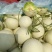 【玉菇甜瓜】山东玉菇甜瓜/莘县玉菇甜瓜/质量三包