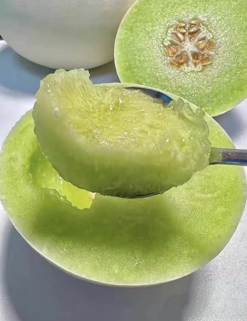 【玉菇甜瓜】山东玉菇甜瓜/莘县玉菇甜瓜/质量三包