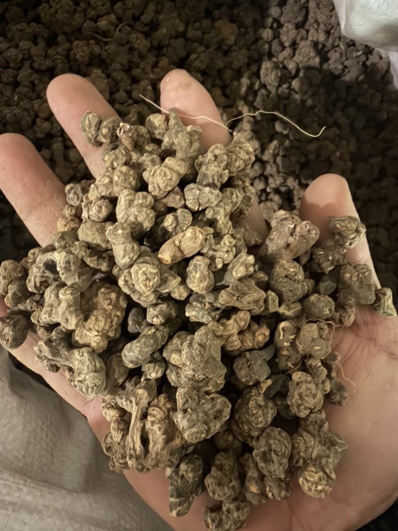 精选夏天无