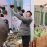 日本黑圆茄中熟叶片黑绿单果1800克亩产8000公斤深黑