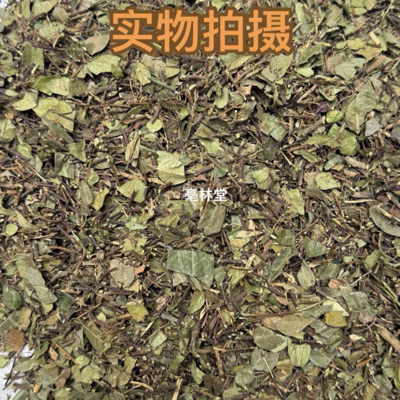 络石藤看图收货批发零售包邮