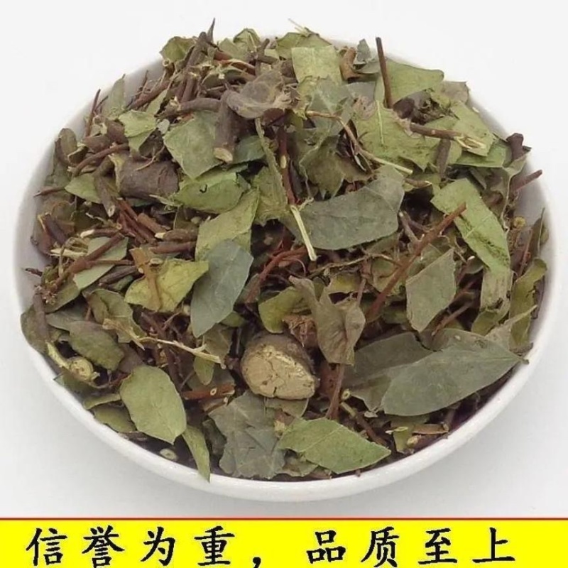 络石藤看图收货批发零售包邮