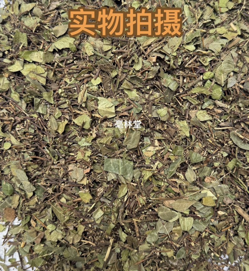 络石藤看图收货批发零售包邮