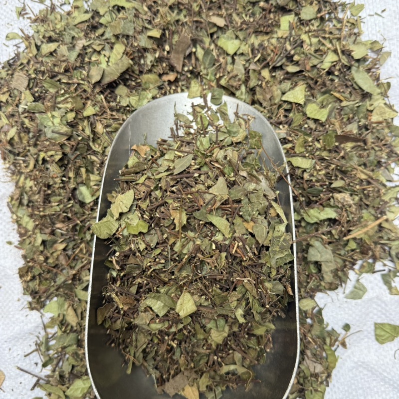 络石藤看图收货批发零售包邮