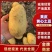 湖北土豆/黄心土豆/量大从优/规格齐全/对接市场批发商