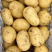 湖北土豆/黄心土豆/量大从优/规格齐全/对接市场批发商