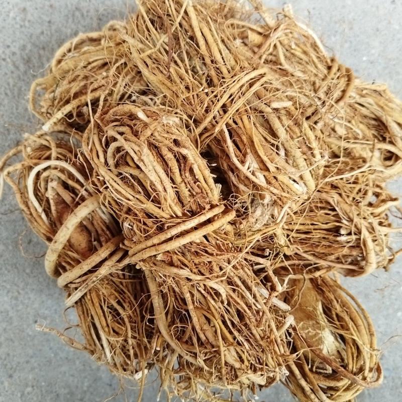 五指毛桃，扎把，切段，切片，各种规格都有，一手货源