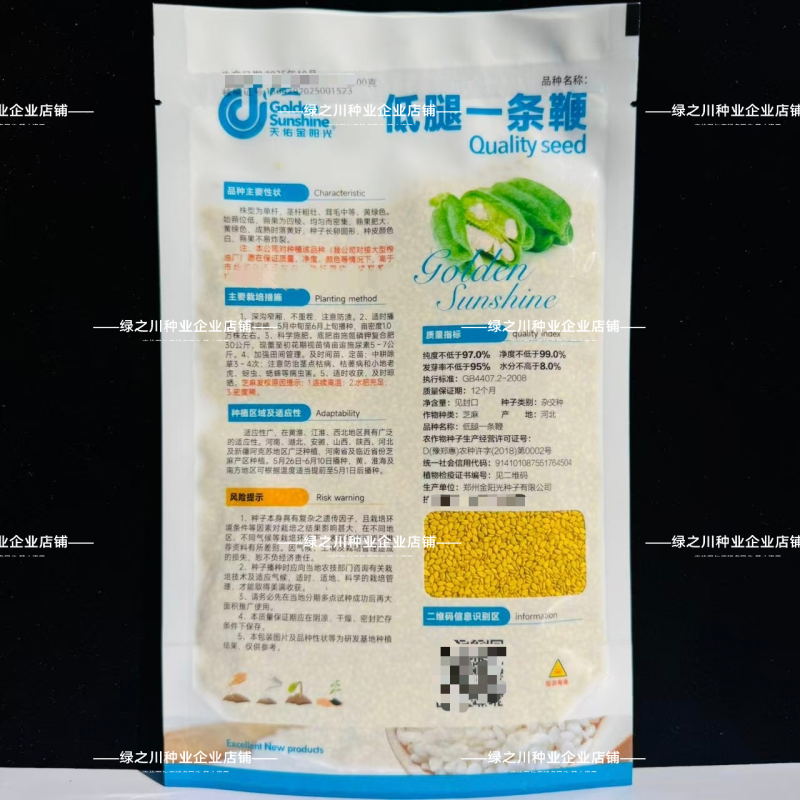 低腿一条鞭芝麻种子黄杆黄蒴白芝麻种子高产蒴果肥大矮脚芝麻