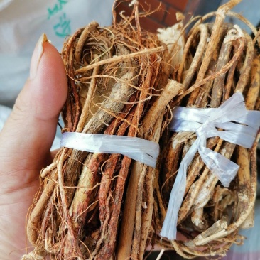 广西五指毛桃，扎把，切段，园片都有货