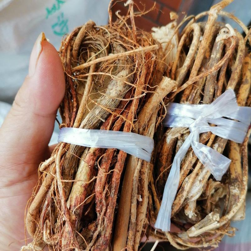 广西五指毛桃，扎把，切段，园片都有货