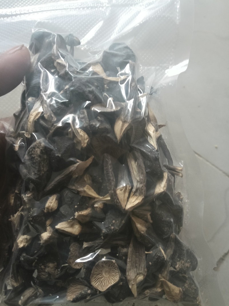 鸡枞菌干品基地直供