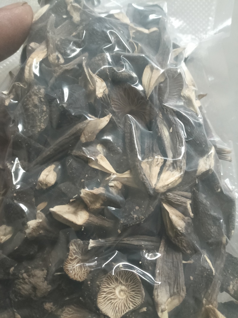 鸡枞菌干品基地直供