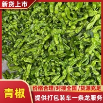 精品青椒，大量上市，品质有保障，一手货源，量大从优