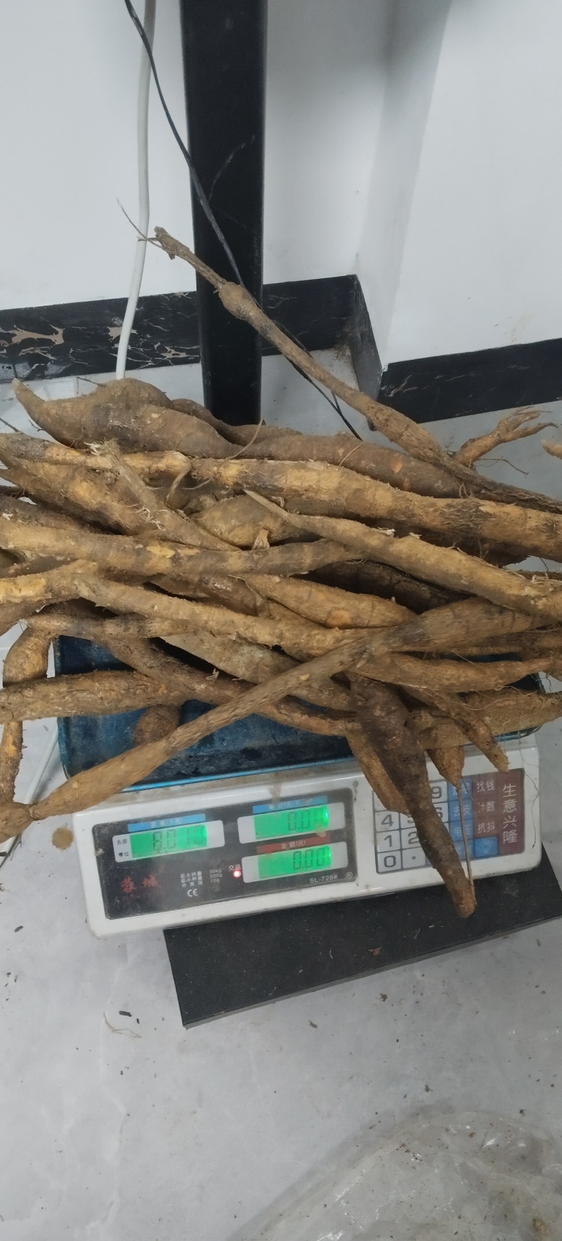 野生粉质牛大力