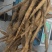 野生粉质牛大力