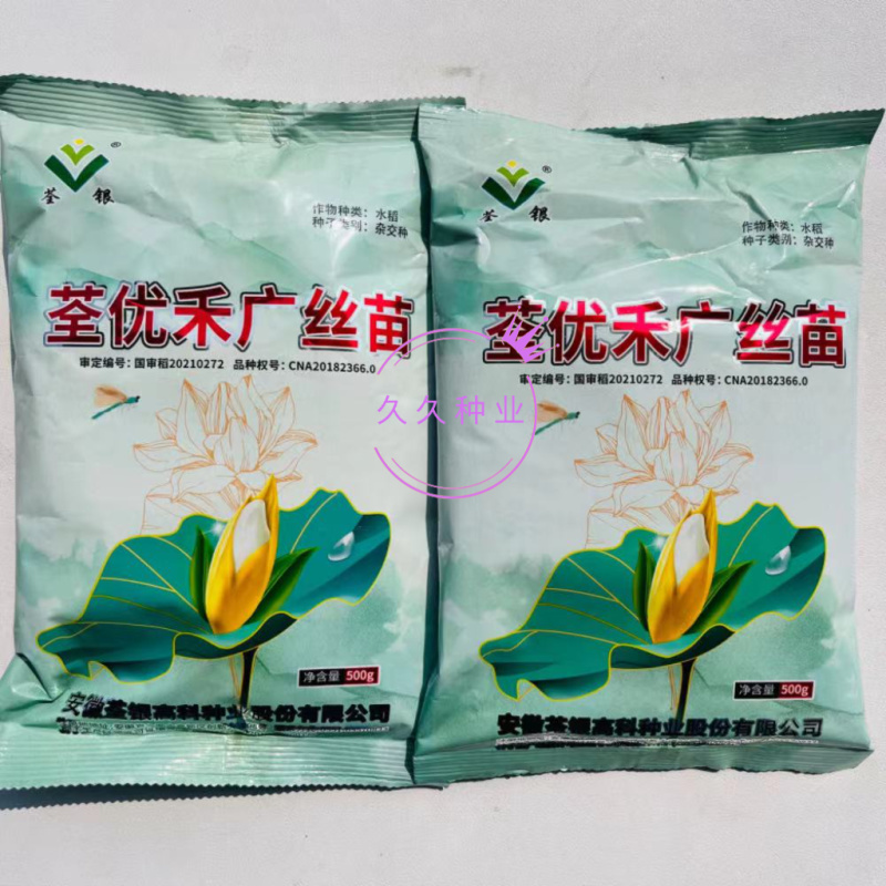 荃优禾广丝苗杂交水稻种子高产抗病国审稻谷种籽三系杂交