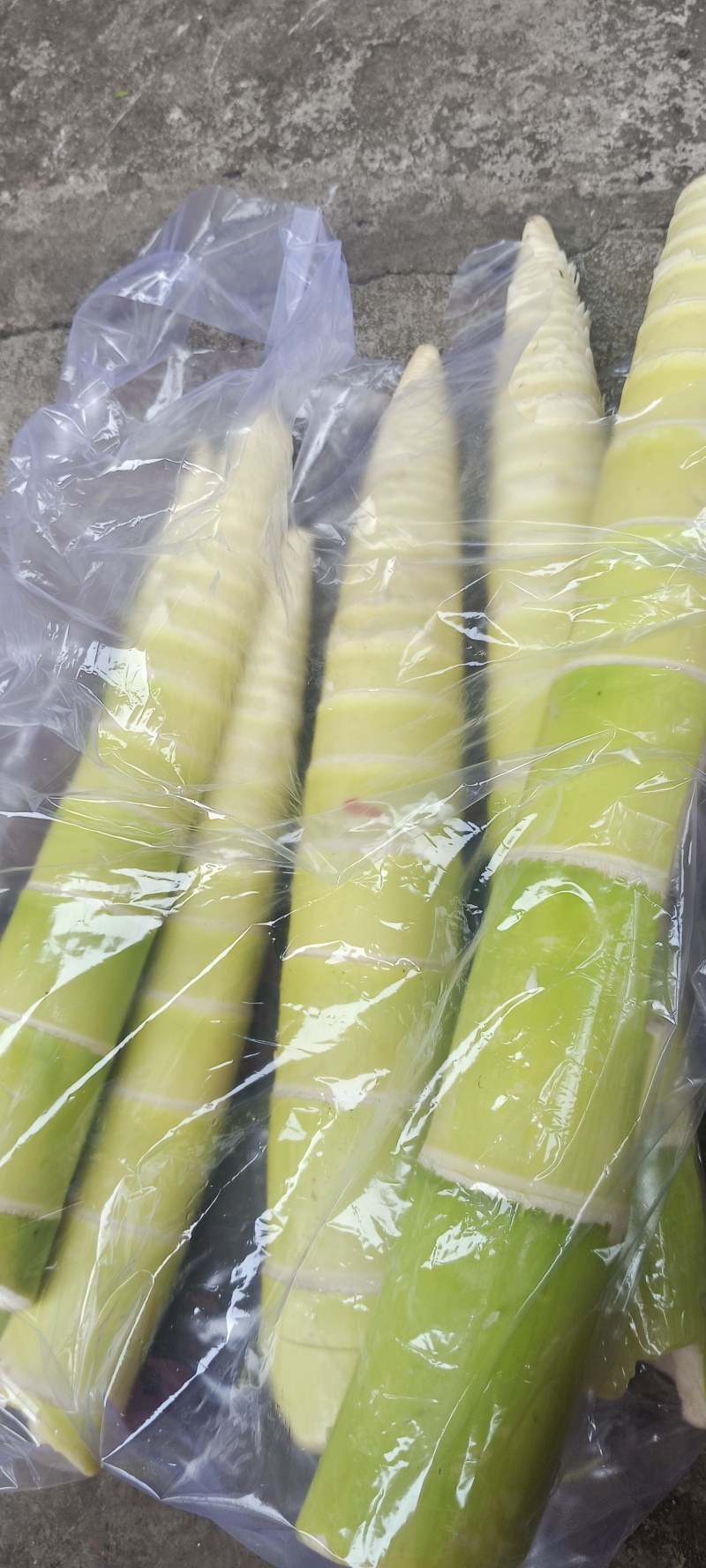 肉竹笋
