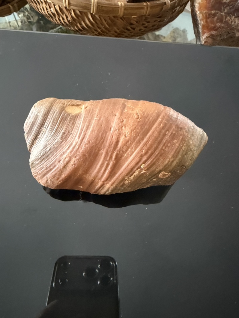 北红玛瑙原石伊春乌伊岭逊克玛瑙红玛瑙原石配件饰品摆件