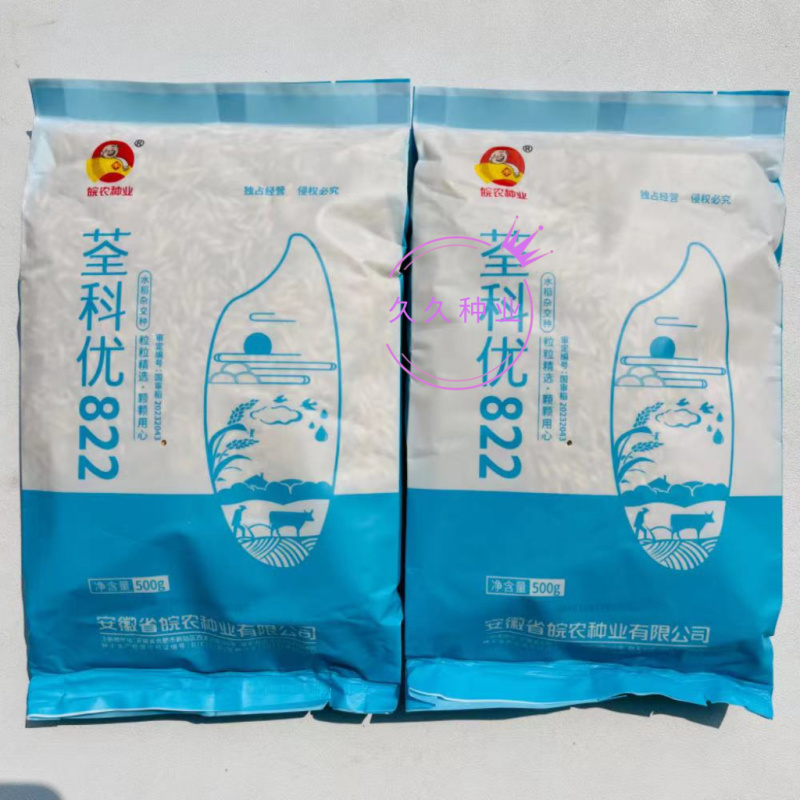 荃科优822杂交水稻新种子新国审淡叶水稻优质米高产大田种