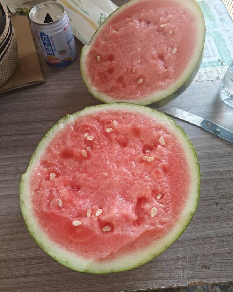 美都西瓜整车代收代发，产地专业代办