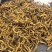 甘孜理塘县野生虫草精品货无断草无死草