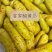 【酸黄瓜】