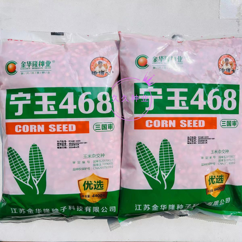 宁玉468三国审转基因杂交玉米种子抗病抗虫活杆成熟红细轴