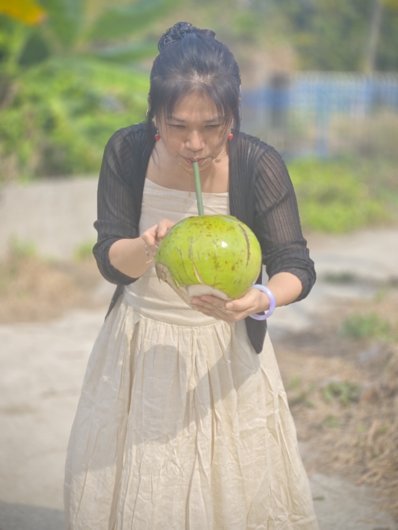 海南椰子【毛椰】支持视频看货，可发往全国市场！