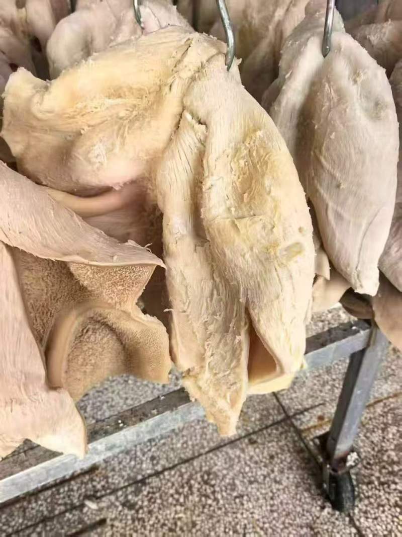 水煮全熟牛肚欢迎各位老板前来采购有需要的老板可电话联
