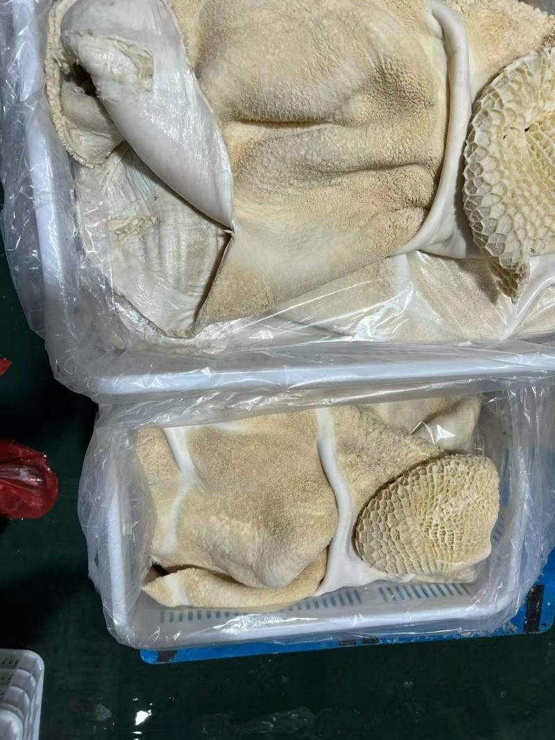 水煮全熟牛肚欢迎各位老板前来采购有需要的老板可电话联
