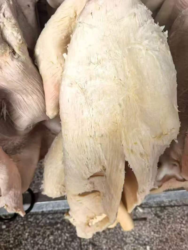 水煮全熟牛肚欢迎各位老板前来采购有需要的老板可电话联