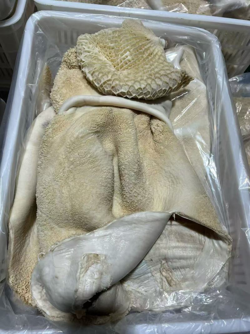 水煮全熟牛肚欢迎各位老板前来采购有需要的老板可电话联