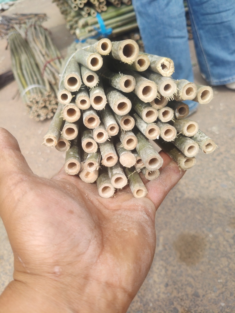 1.5米菜架竹