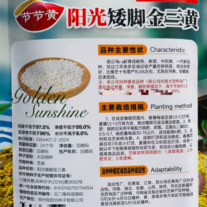 低腿矮脚金三黄芝麻种子高产黄杆黄蒴白芝麻种子春夏芝麻种籽