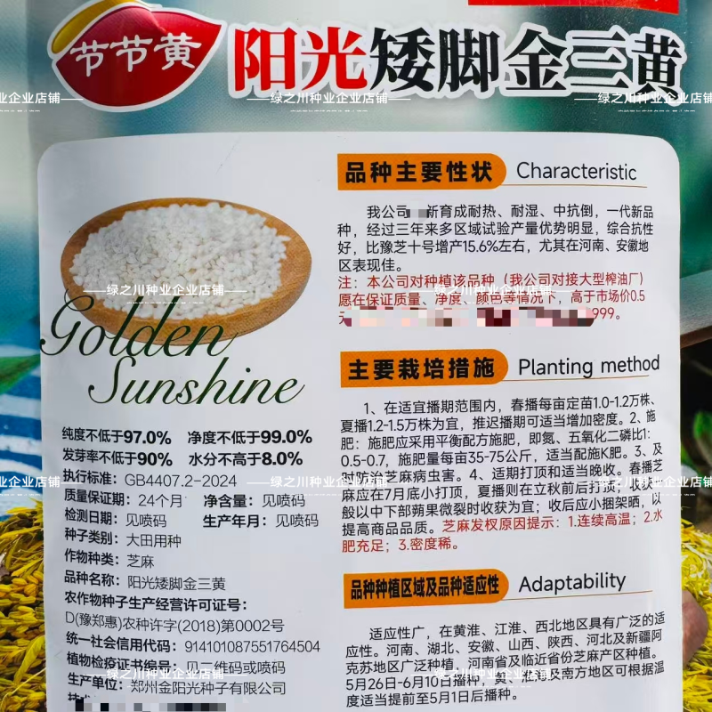 低腿矮脚金三黄芝麻种子高产黄杆黄蒴白芝麻种子春夏芝麻种籽