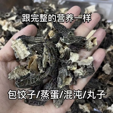 羊肚菌碎片数量不多先到先得售完即止