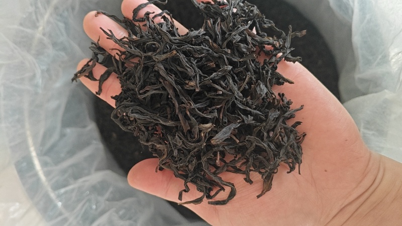 凤凰单从