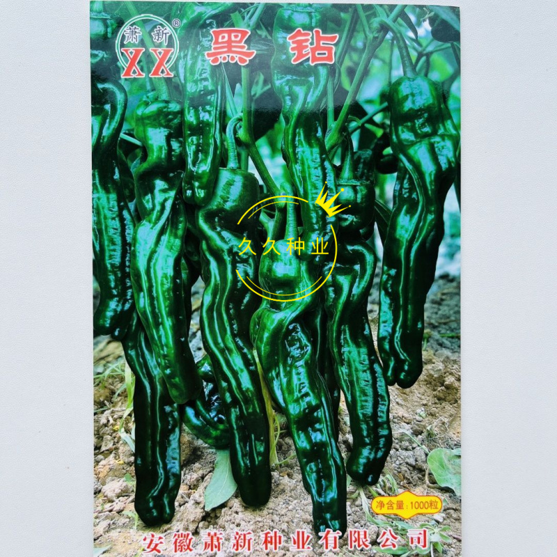 萧新黑钻辣椒种子早熟皱皮羊角椒种籽辣味香浓薄皮质脆抗病