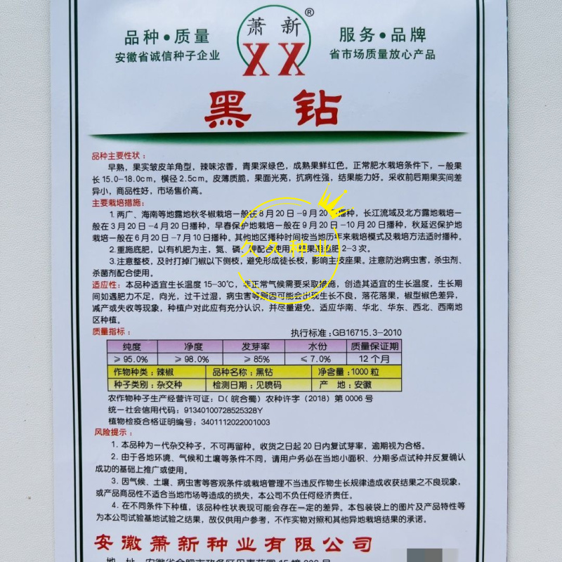 萧新黑钻辣椒种子早熟皱皮羊角椒种籽辣味香浓薄皮质脆抗病