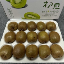 一件代发只需要9元