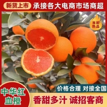 湖北秭归中华红血橙挂树鲜果皮薄汁多对接电商市场社区团购