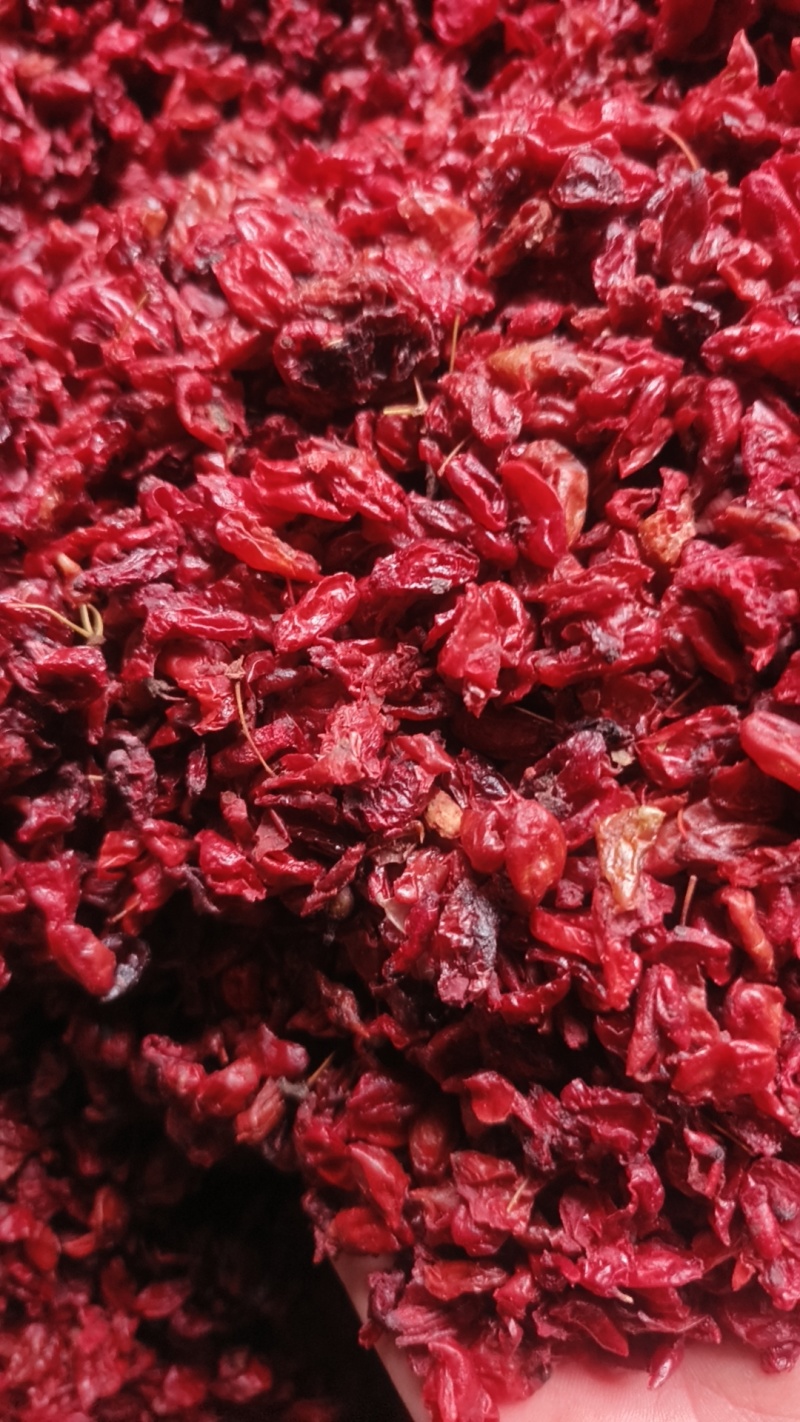 河南山茱萸产地批发