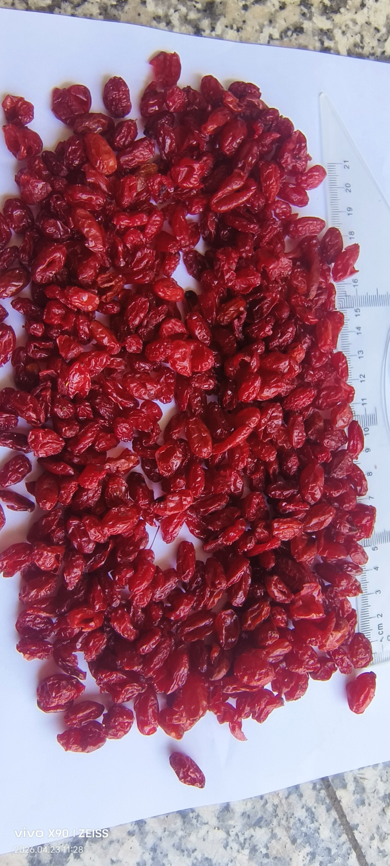河南山茱萸产地批发