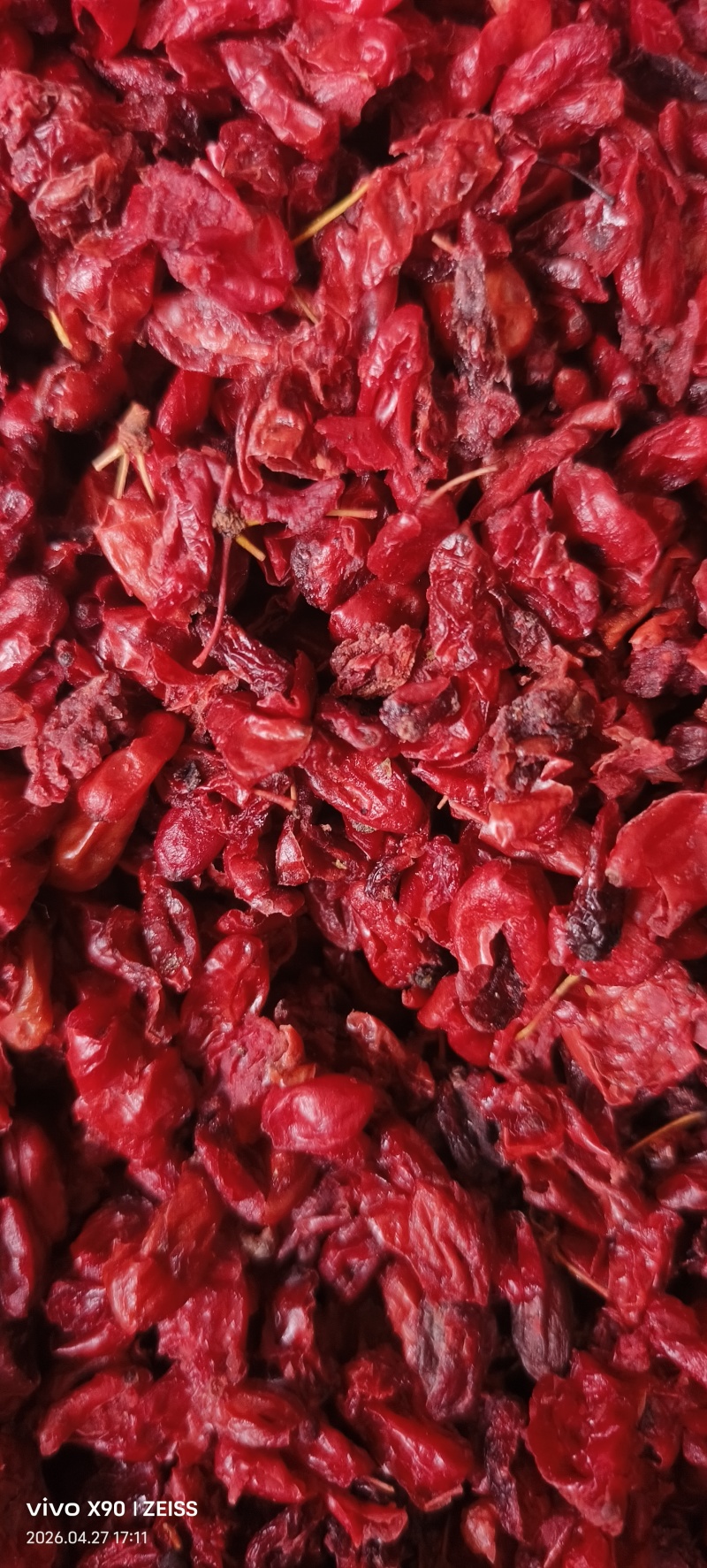 河南山茱萸产地批发